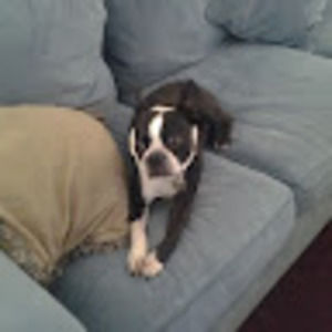 Meet your Posher, William